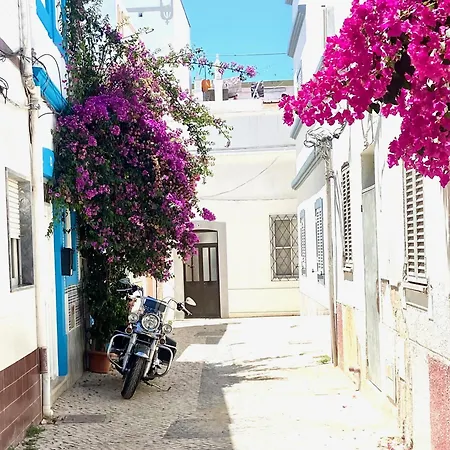 Zenit Budget Basicinn