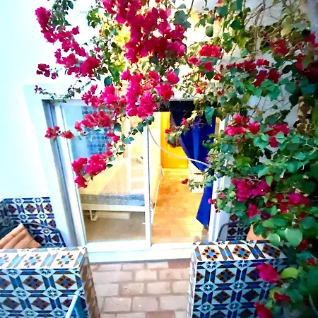 אורחן Zenit Little House Or Basic